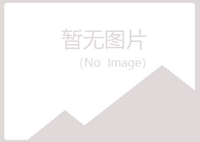 青岛崂山冰露造纸有限公司